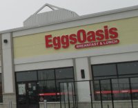 Store front for EggsOasis